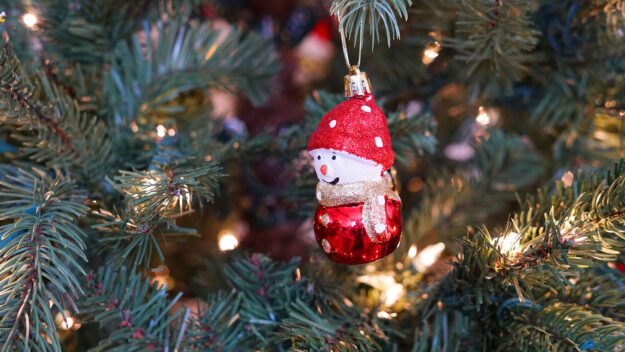 christmas_tree_close_up_1119_b4308bf38bed3d5dc3e88fc83986b14f